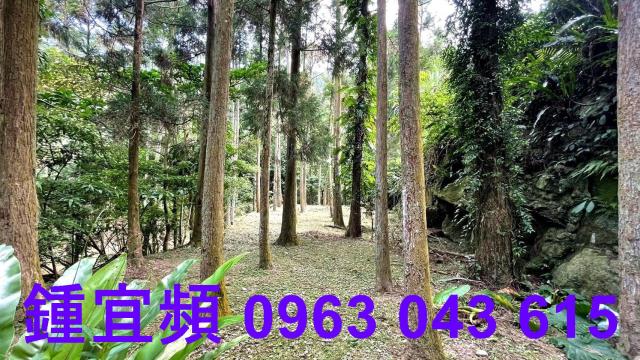 苗栗南庄透天-7