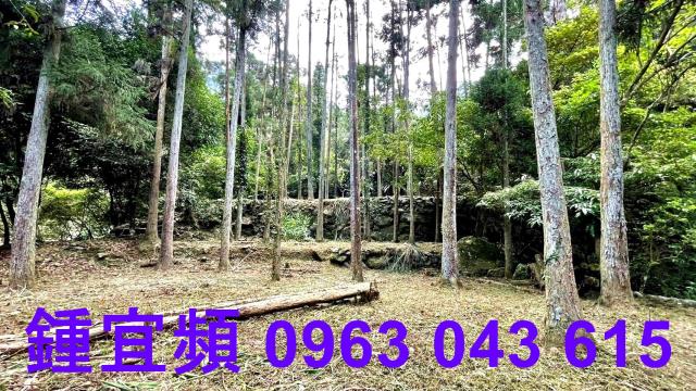 苗栗南庄透天-8