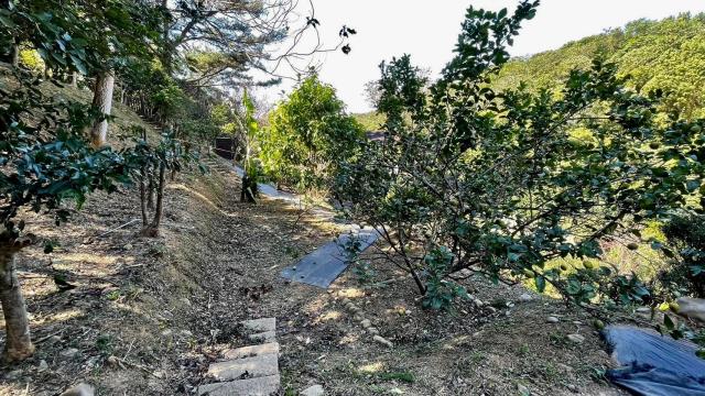 關西農舍-5