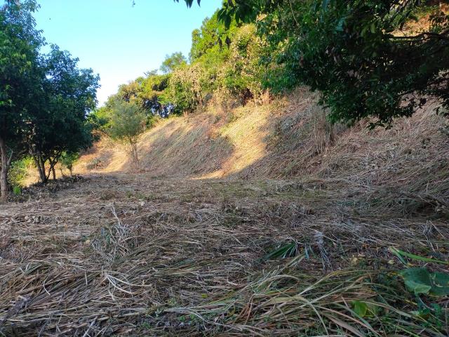 新竹北埔農地-9