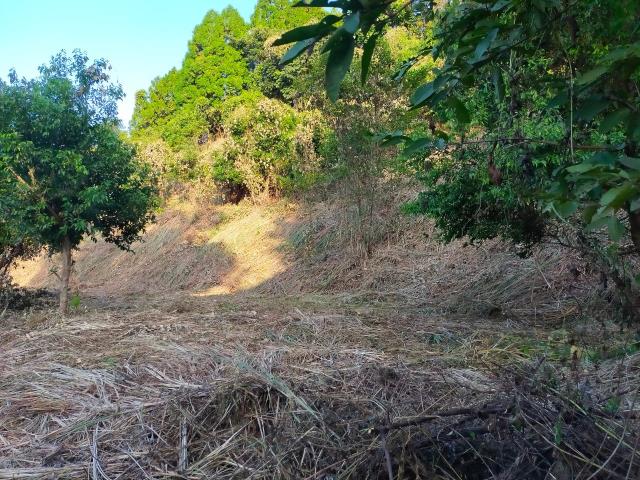 新竹北埔農地-10