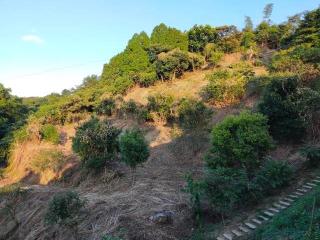 新竹北埔農地-11