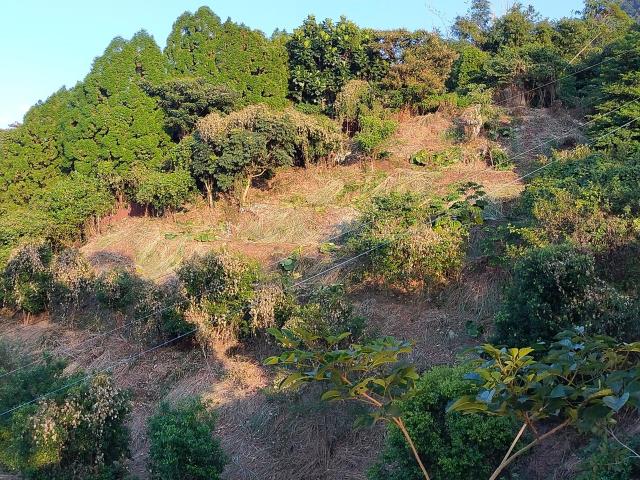 新竹北埔農地-3