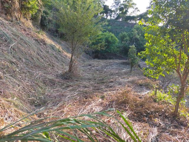 新竹北埔農地-8