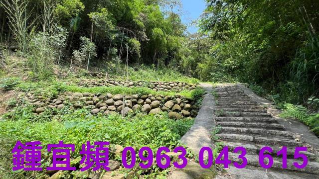 新竹農地-10