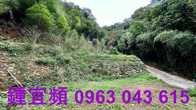 新竹農地-5