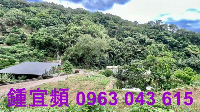 新竹農地-6