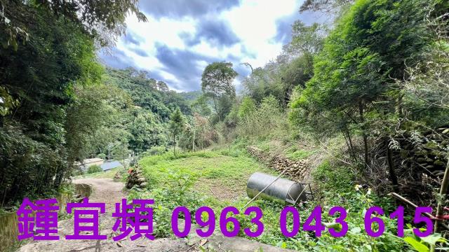 新竹農地-8