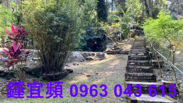 苗栗南庄農地-13