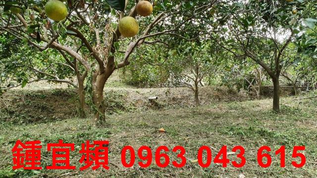 新竹芎林農地-9