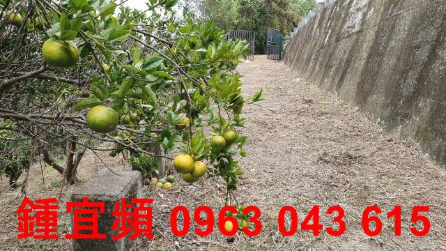 新竹芎林農地-11