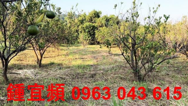 新竹芎林農地-1