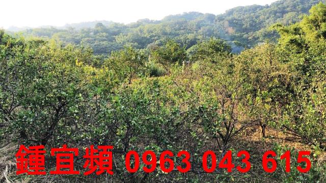 新竹芎林農地-2