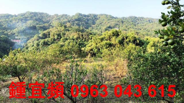 新竹芎林農地-3