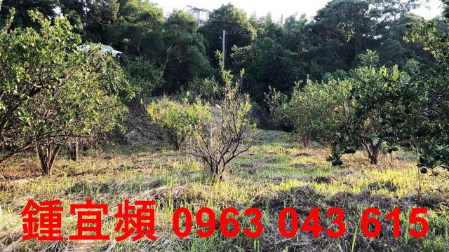 新竹芎林農地-4