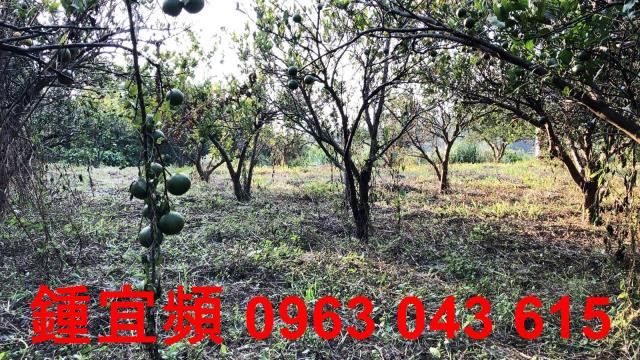 新竹芎林農地-6