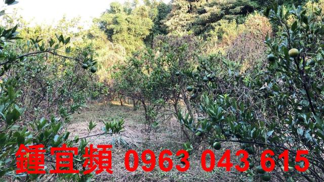 新竹芎林農地-8