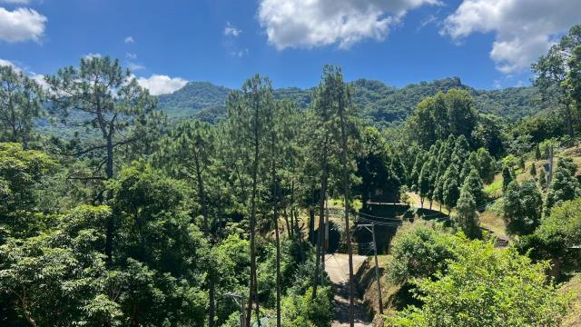 新竹農地-13