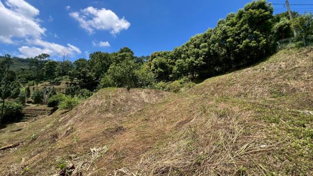 新竹農地-6