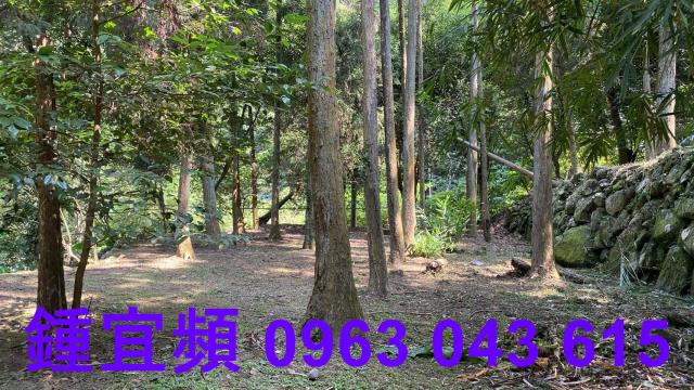 南庄農地-14