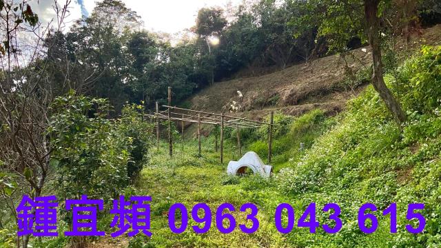 新竹北埔農地-11