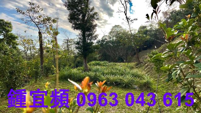 新竹北埔農地-0