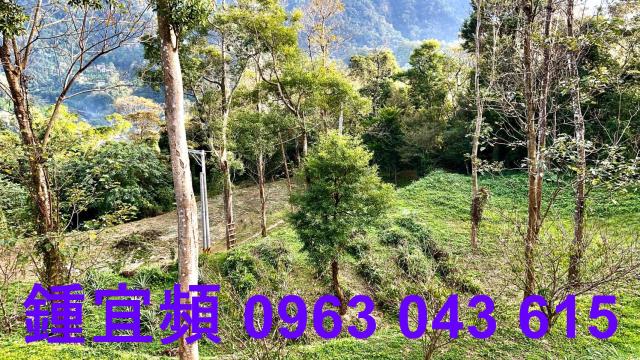 新竹北埔農地-4