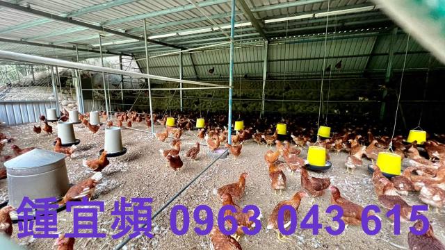 芎林農地-12