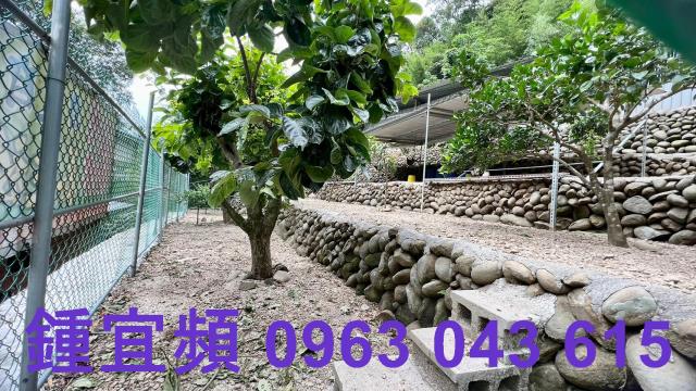 芎林農地-2