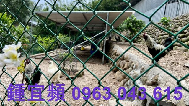 芎林農地-3