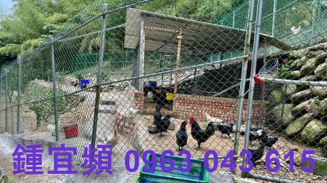 芎林農地-6