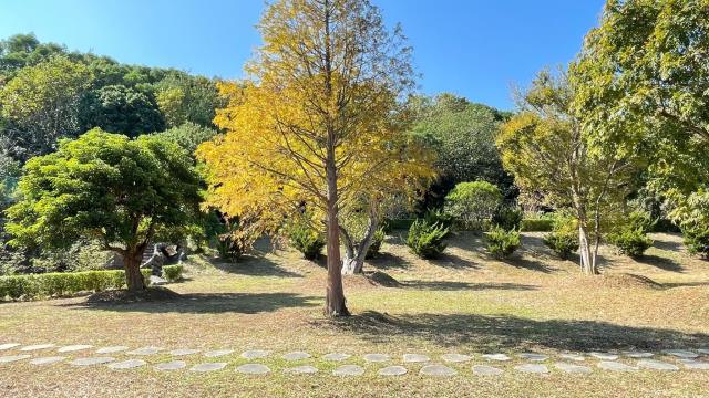 頭份農地-13