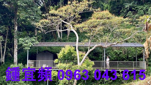 尖石農地-0