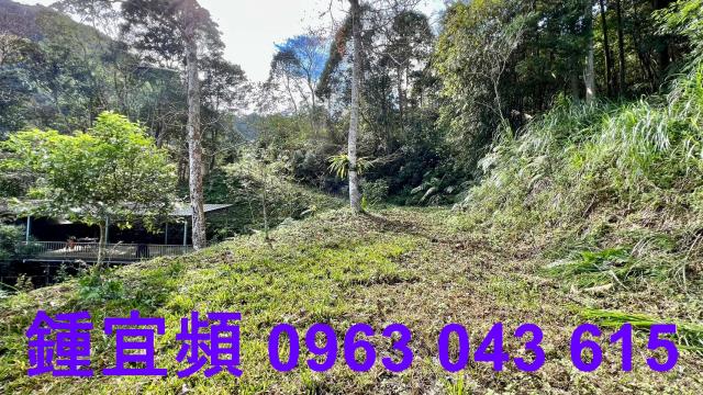 尖石農地-4