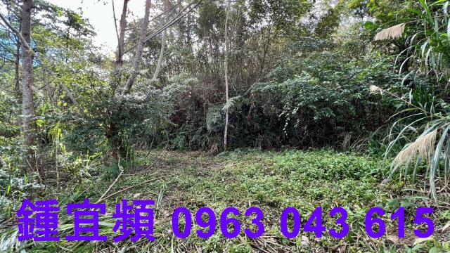 尖石農地-4