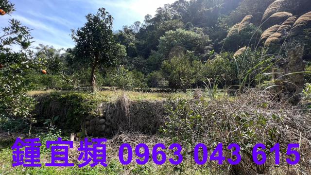 新竹芎林農地-11