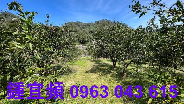 新竹芎林農地-13