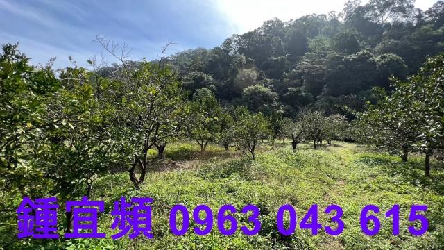 新竹芎林農地-14