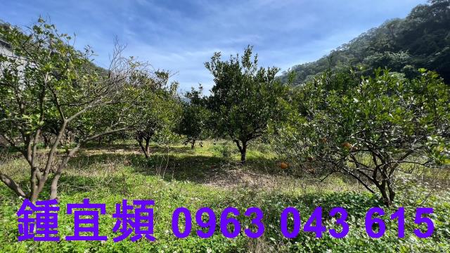 新竹芎林農地-4