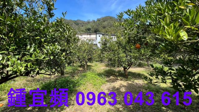 新竹芎林農地-5