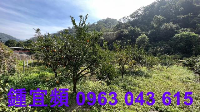 新竹芎林農地-6