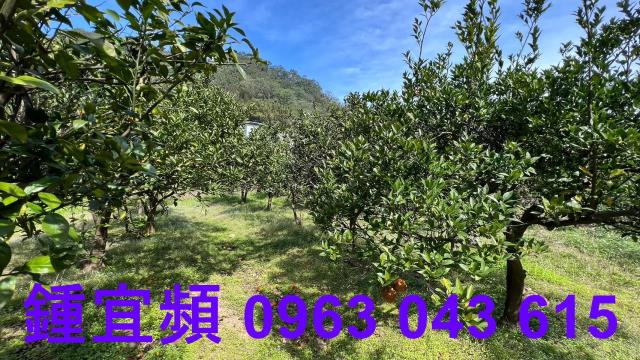 新竹芎林農地-8