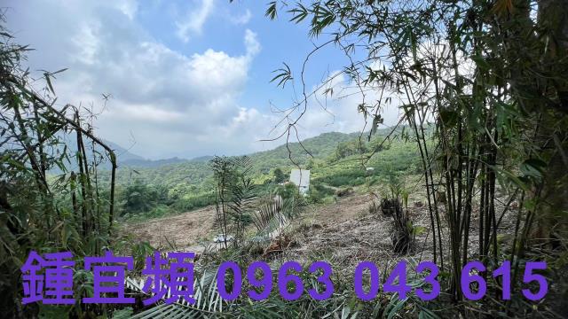 橫山農地-5