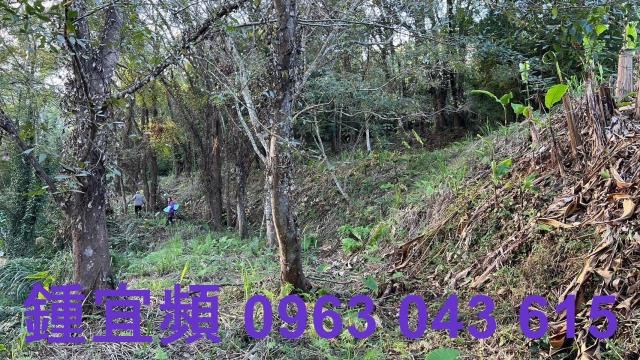 橫山農地-12