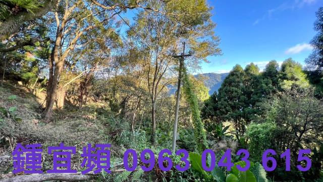 橫山農地-13