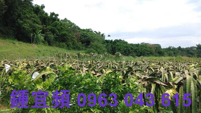 新竹休閒地-9