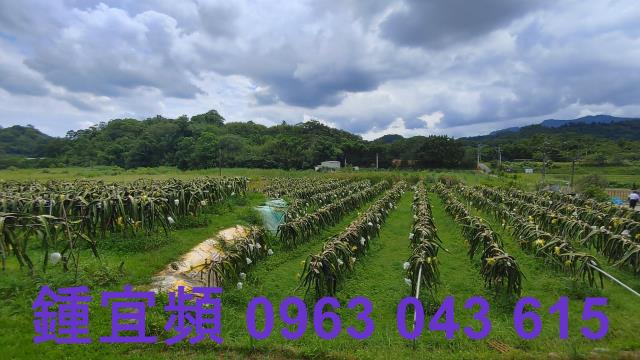 新竹休閒地-11