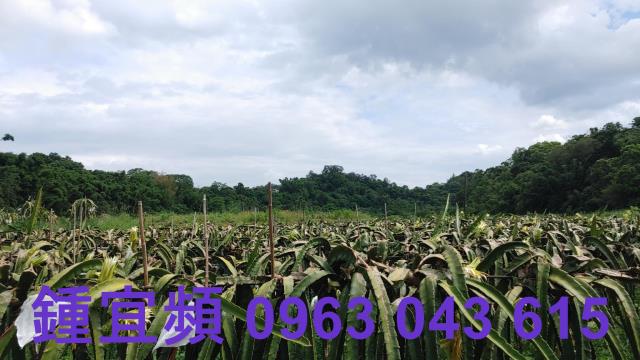新竹休閒地-6