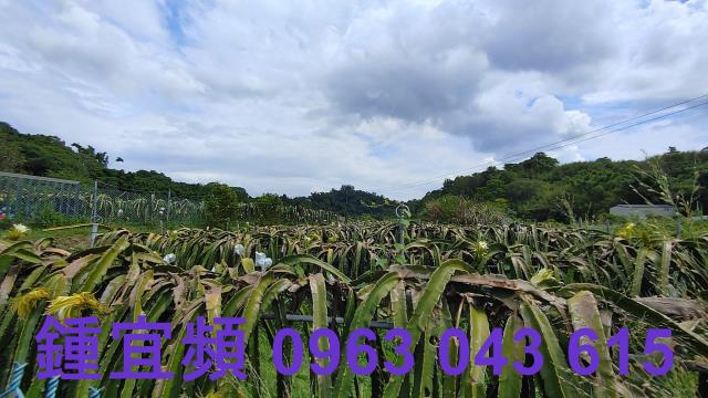 新竹休閒地-8