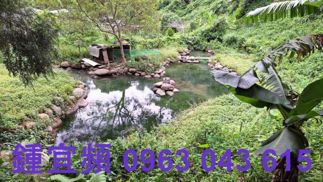 三灣農地-2